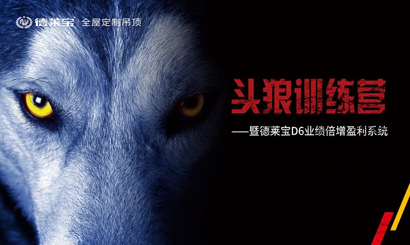 【頭狼訓(xùn)練營】德萊寶商學(xué)院第22期培訓(xùn)會，圓滿落幕！